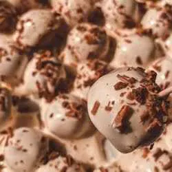 Digestive Balls
